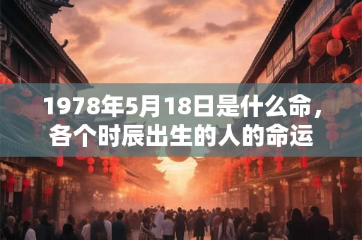 1978年5月18日是什么命,各个时辰出生的人的命运 1978年5月18日是什么命,各个时辰出生的人的命运