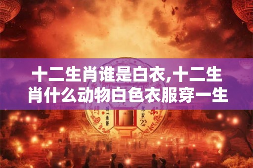 十二生肖谁是白衣,十二生肖什么动物白色衣服穿一生
