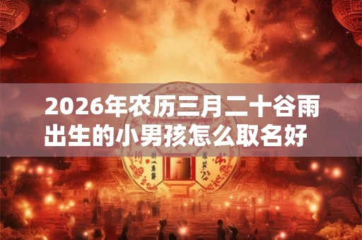 2026年农历三月二十谷雨出生的小男孩怎么取名好  男孩名字大全集