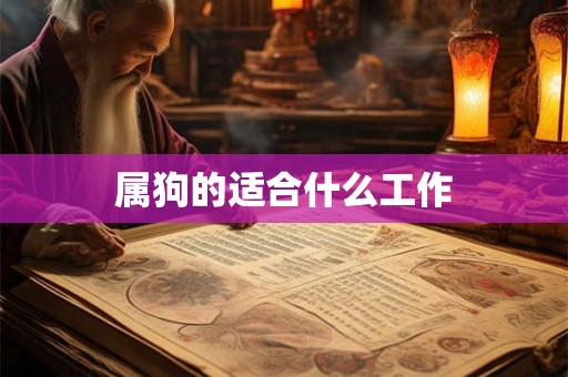 属狗的适合什么工作