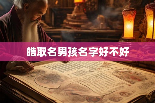 皓取名男孩名字好不好
