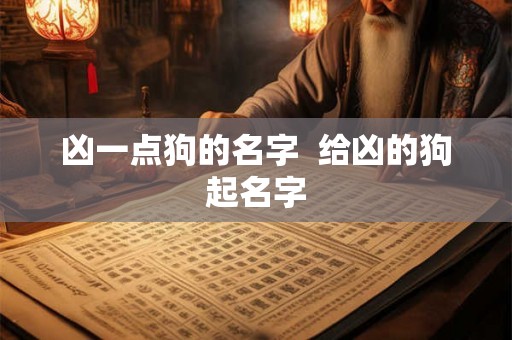 凶一点狗的名字  给凶的狗起名字