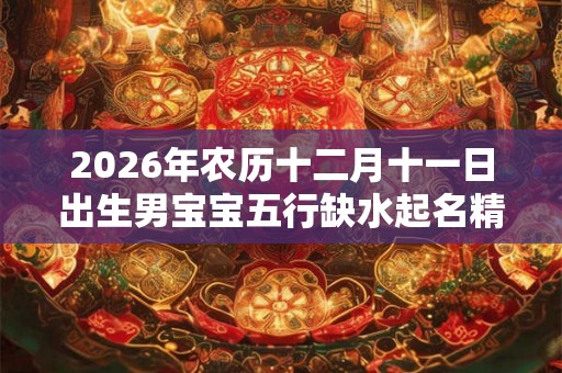 2026年农历十二月十一日出生男宝宝五行缺水起名精选