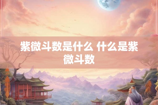 紫微斗数是什么 什么是紫微斗数