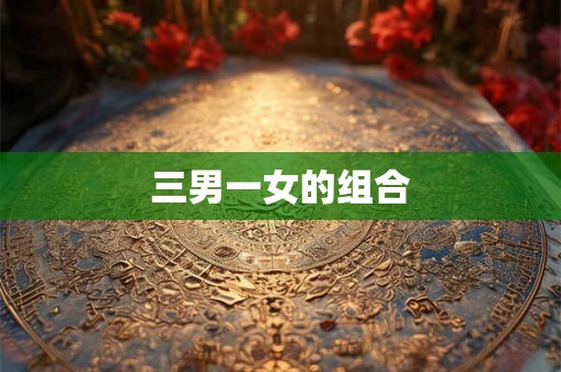 三男一女的组合 三男一女的组合