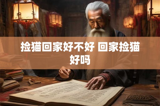 捡猫回家好不好 回家捡猫好吗 捡猫回家好不好 回家捡猫好吗