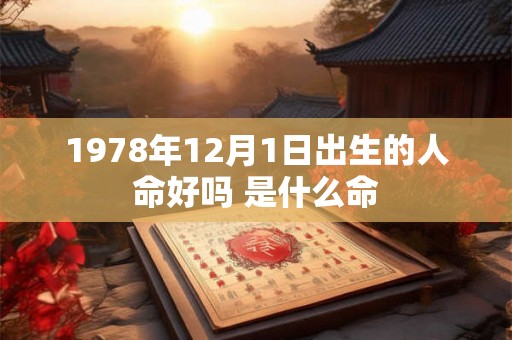 1978年12月1日出生的人命好吗 是什么命
