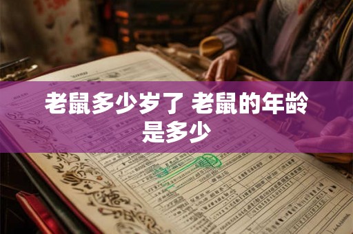 老鼠多少岁了 老鼠的年龄是多少 老鼠多少岁了 老鼠的年龄是多少
