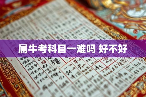 属牛考科目一难吗 好不好