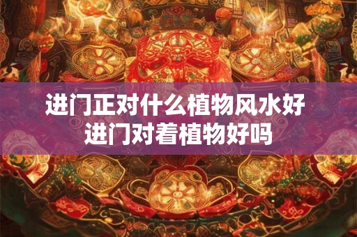进门正对什么植物风水好 进门对着植物好吗