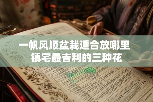 一帆风顺盆栽适合放哪里  镇宅最吉利的三种花