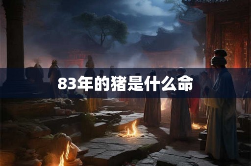 83年的猪是什么命