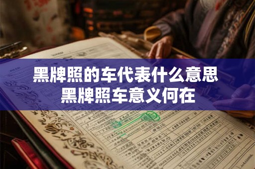 黑牌照的车代表什么意思 黑牌照车意义何在
