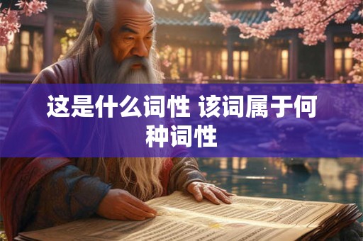 这是什么词性 该词属于何种词性