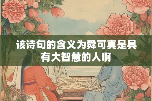 该诗句的含义为舜可真是具有大智慧的人啊