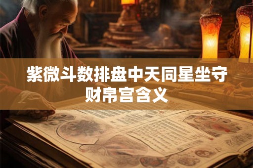 紫微斗数排盘中天同星坐守财帛宫含义