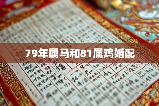 79年属马和81属鸡婚配