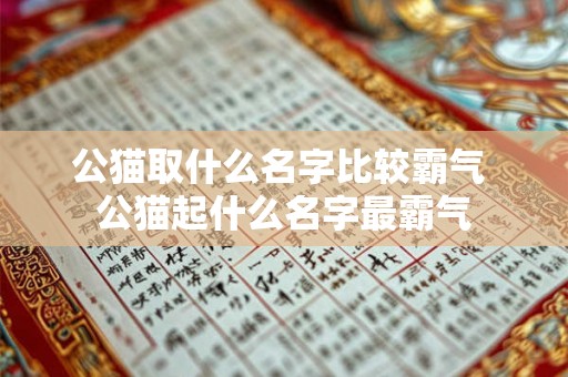 公猫取什么名字比较霸气 公猫起什么名字最霸气