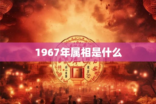 1967年属相是什么
