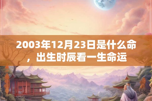2003年12月23日是什么命，出生时辰看一生命运