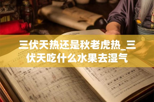 三伏天热还是秋老虎热_三伏天吃什么水果去湿气