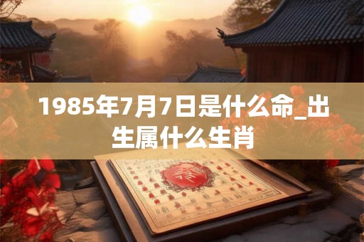 1985年7月7日是什么命_出生属什么生肖