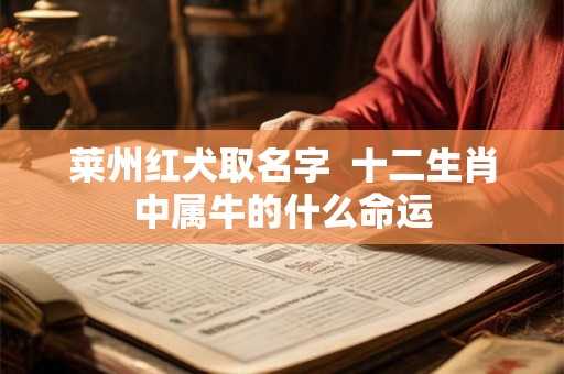 莱州红犬取名字  十二生肖中属牛的什么命运