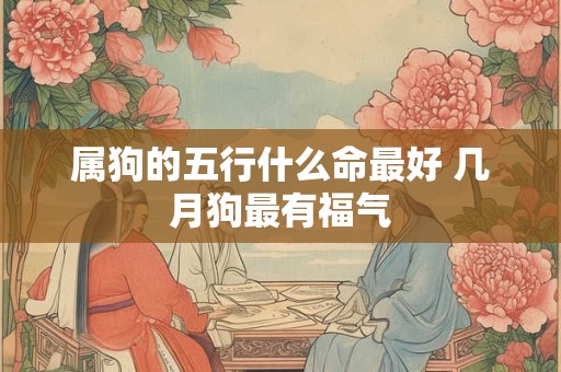 属狗的五行什么命最好 几月狗最有福气