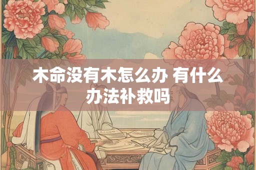 木命没有木怎么办 有什么办法补救吗