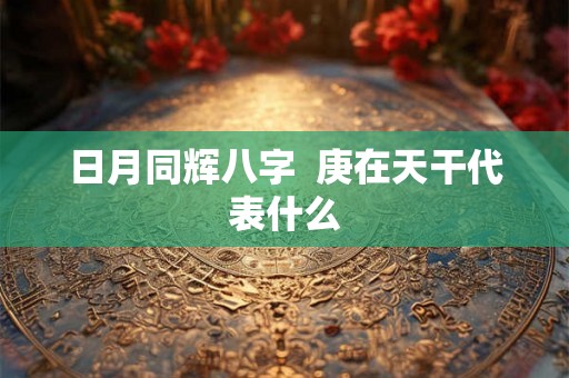 日月同辉八字  庚在天干代表什么