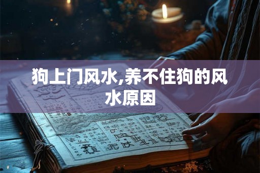 狗上门风水,养不住狗的风水原因