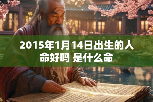 2015年1月14日出生的人命好吗 是什么命