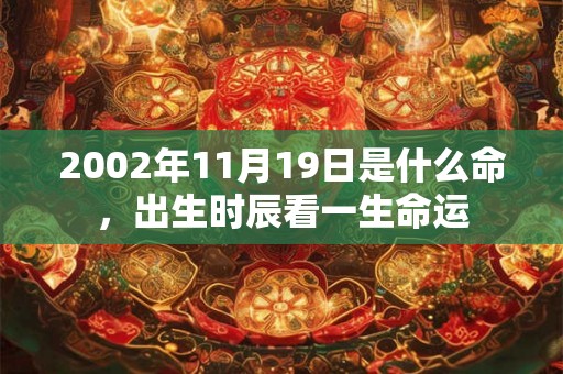 2002年11月19日是什么命,出生时辰看一生命运 2002年11月19日是什么命,出生时辰看一生命运