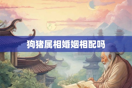 狗猪属相婚姻相配吗