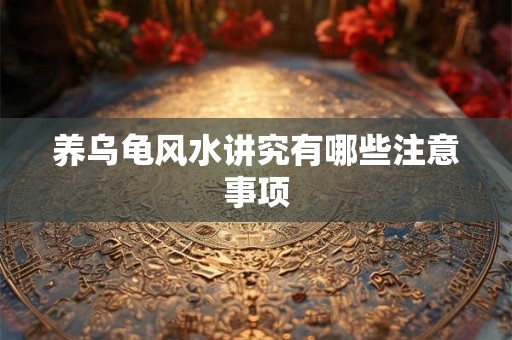 养乌龟风水讲究有哪些注意事项