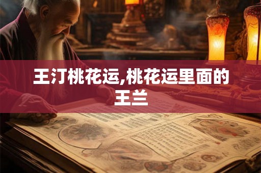 王汀桃花运,桃花运里面的王兰