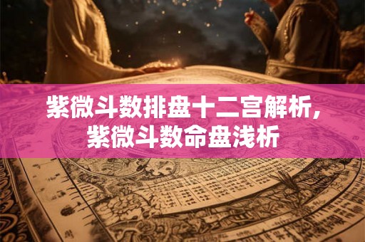 紫微斗数排盘十二宫解析,紫微斗数命盘浅析