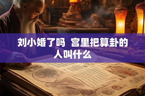 刘小婚了吗  宫里把算卦的人叫什么