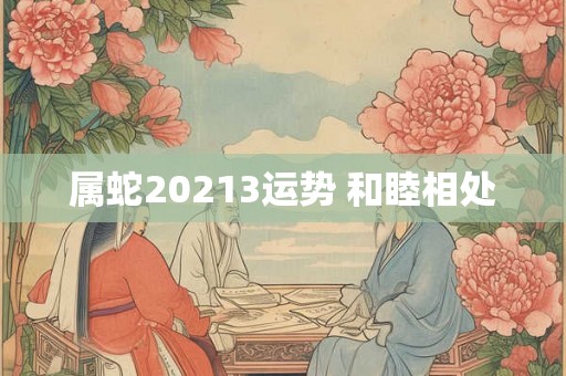 属蛇20213运势 和睦相处