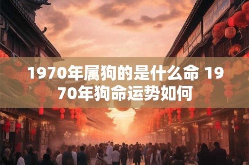 1970年属狗的是什么命 1970年狗命运势如何