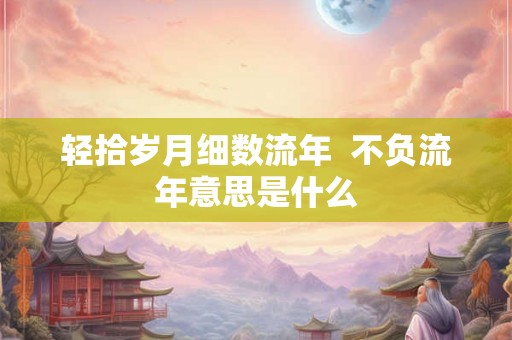 轻拾岁月细数流年  不负流年意思是什么