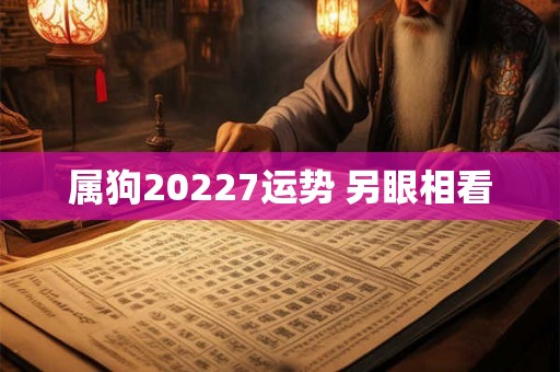 属狗20227运势 另眼相看