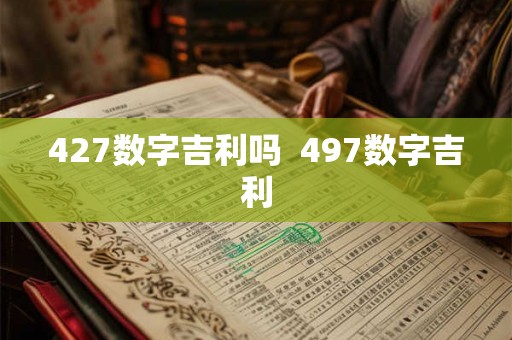 427数字吉利吗  497数字吉利