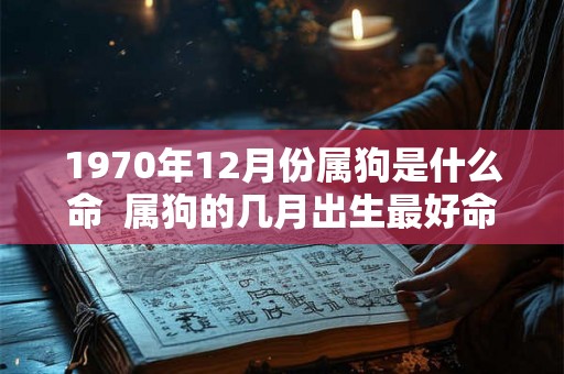 1970年12月份属狗是什么命 属狗的几月出生最好命 1970年12月份属狗是什么命 属狗的几月出生最好命