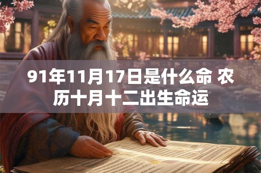 91年11月17日是什么命 农历十月十二出生命运