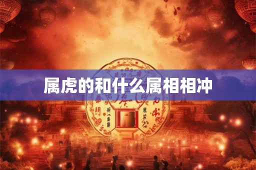 属虎的和什么属相相冲