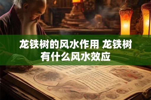 龙铁树的风水作用 龙铁树有什么风水效应