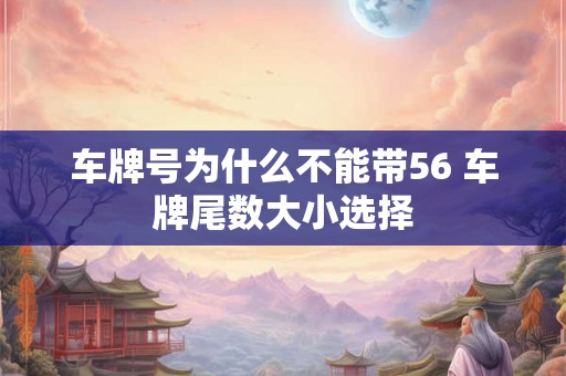 车牌号为什么不能带56 车牌尾数大小选择 车牌号为什么不能带56 车牌尾数大小选择