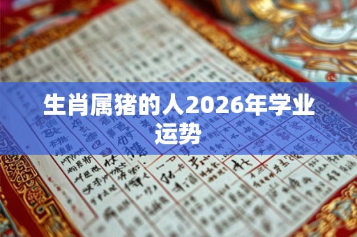 生肖属猪的人2026年学业运势