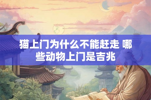 猫上门为什么不能赶走 哪些动物上门是吉兆